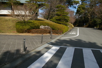 Medium_03　駐車場から建物まで　歩道